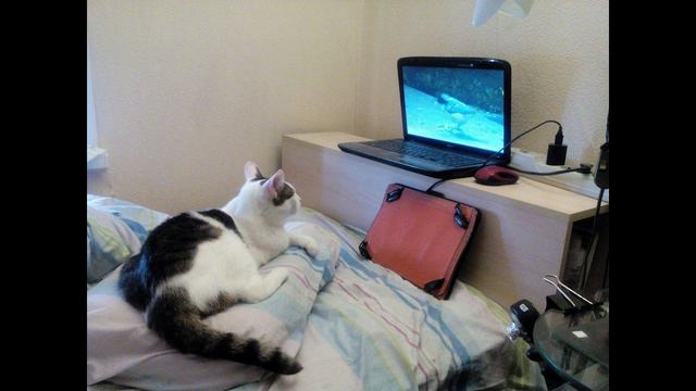 Моя душа ушла 09.2009 - 12.07.2024