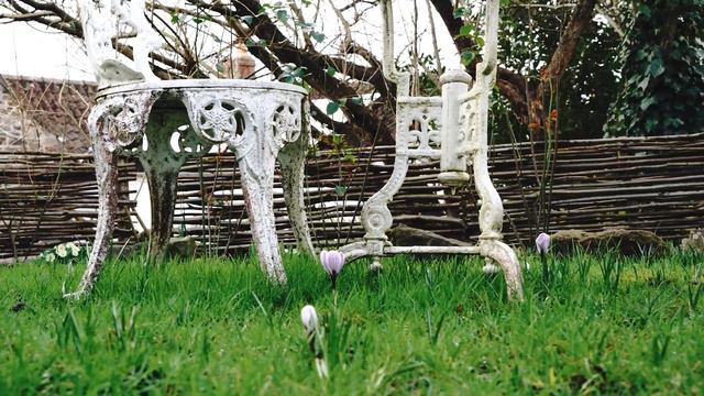 February Cottage Garden - Hellebores, Snowdrops And Early Flowers Tour