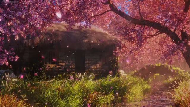 Singing Birds,  Calm River, Nature Sounds