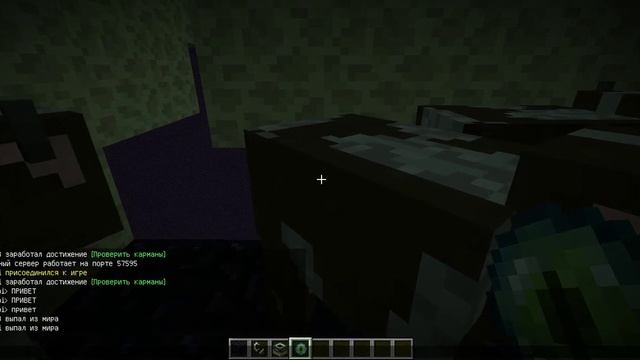 Как строить порталы в ад и в край и как заспавнить исушытеля