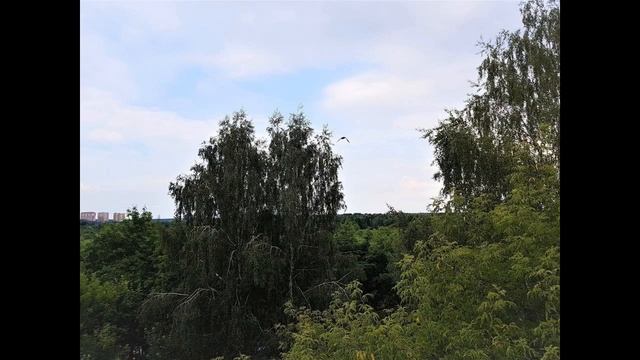 Сдаем 2х-комнатную квартиру пос.Ватутинки, ул.1-я Ватутинская, д.19