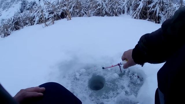 Рыбалка 28 Февраля 2022г!