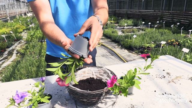 A0730dfc4def660c26159833e52c1637