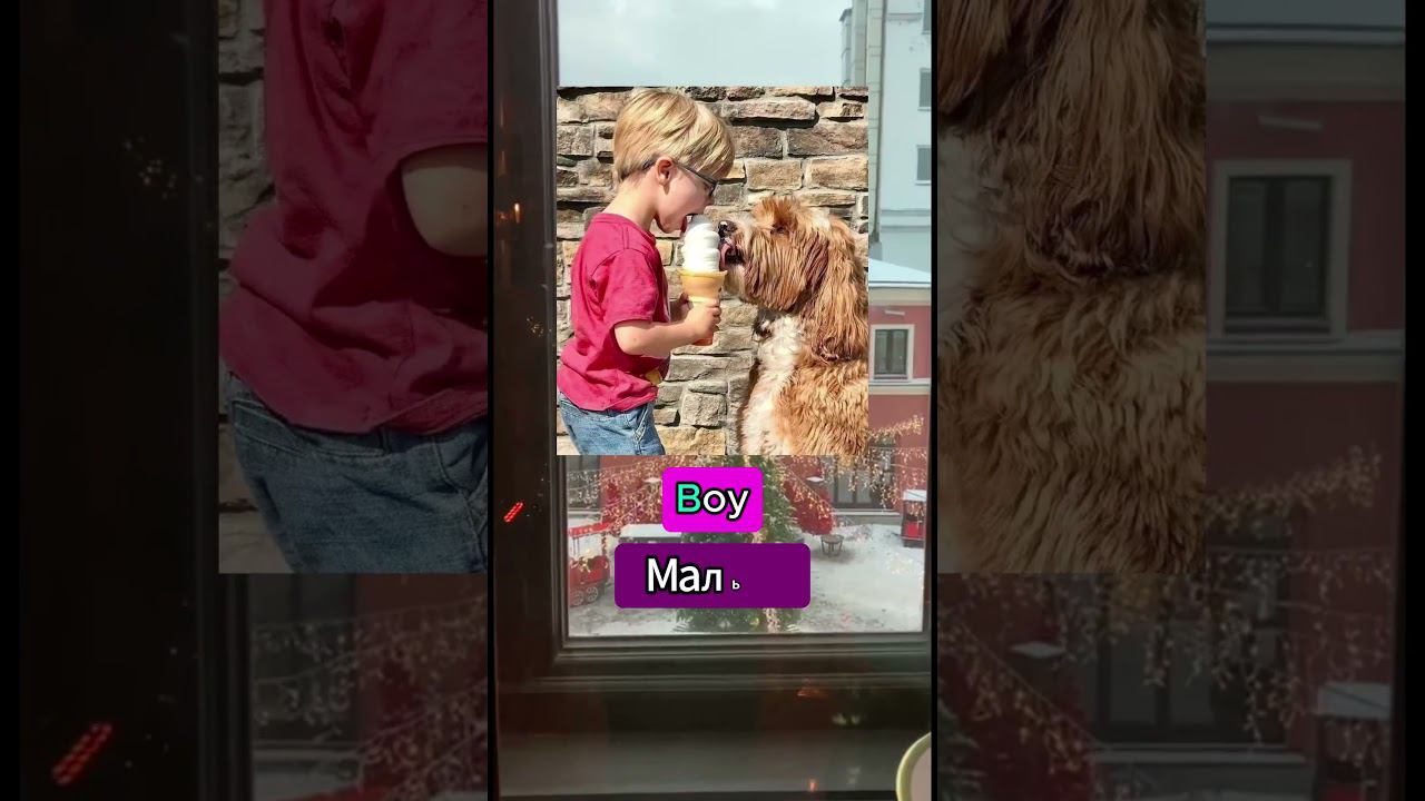 9a366a5a3e12f80b291410bccc4fa967