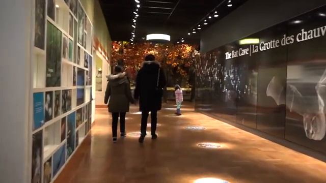 Royal Ontario Museum  Toronto ROM  Музей Торонто  Жизнь в Канаде
