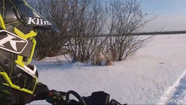 20 января 2019 г.