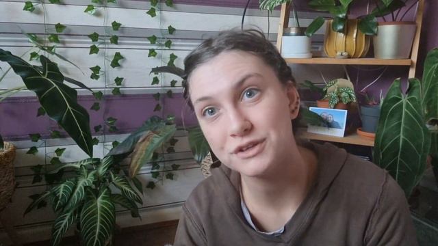 278e74ef614672625a237b3a447f71fd