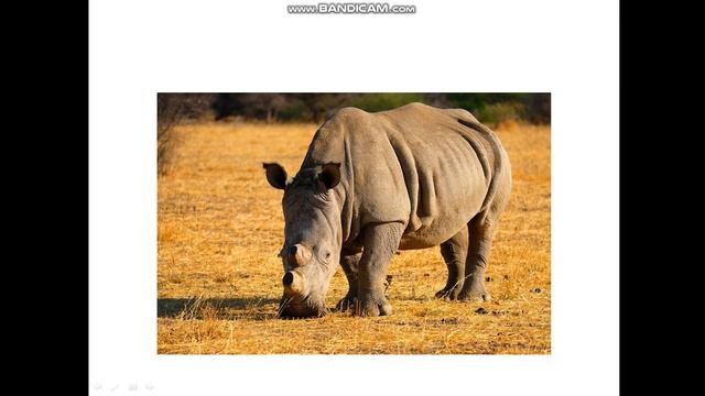 100 вопросов и ответов