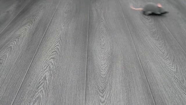 ТОВАРЫ ДЛЯ КОШЕК С Aliexpress