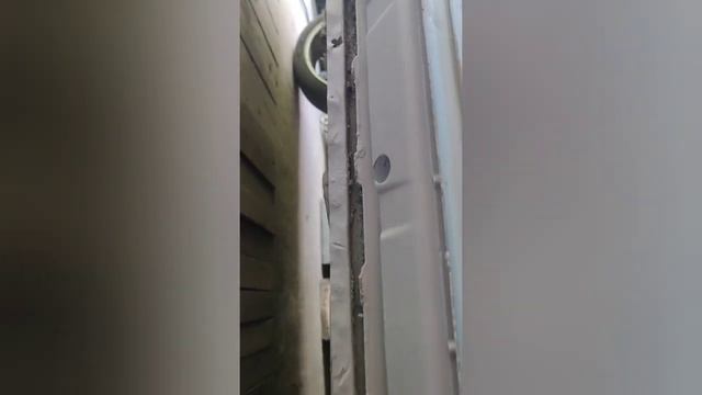 Международный клуб мазовцев