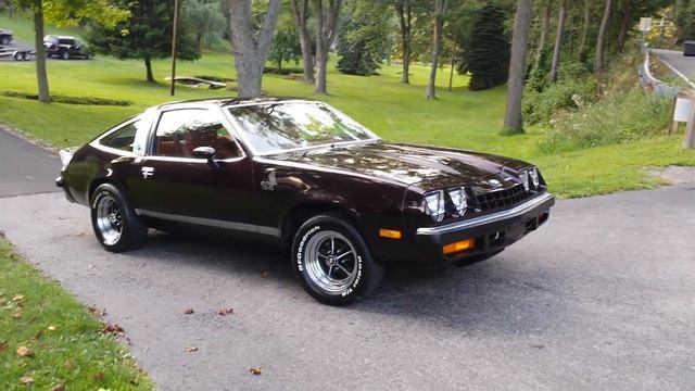 1978 Buick Skyhawk Exhaust 4.1L Buick V6 Magnaflow