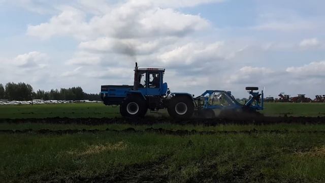 ДЕНЬ ВОРОНЕЖСКОГО ПОЛЯ 2015