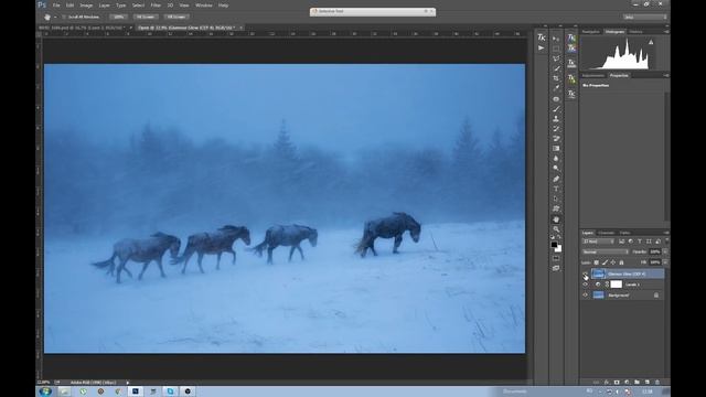 В сърцето на зимата - Черно бяла конверсия в Adobe Photoshop