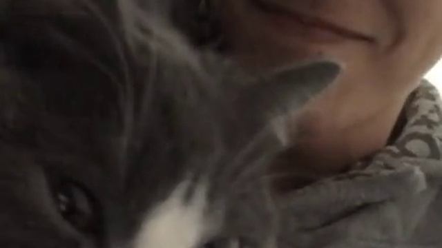 Doc181028675_514234550