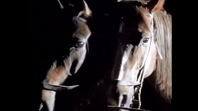 88537d70abc16a41f8b33652e592b5d6