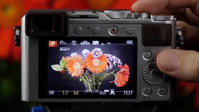 Panasonic - LUMIX Point And Shoot - DMC-LX100 - Focus Peaking