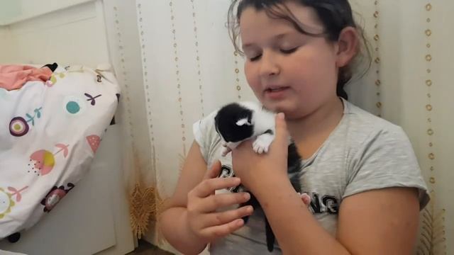 А у нас недавно кошка родила котят немножко!!!