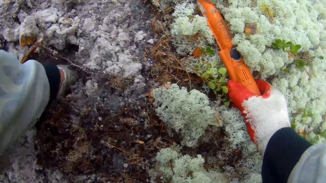 МЕТАЛЛОИСКАТЕЛЬ Minelab СTX 3030, ЛЕСНОЙ КОП, часть 5