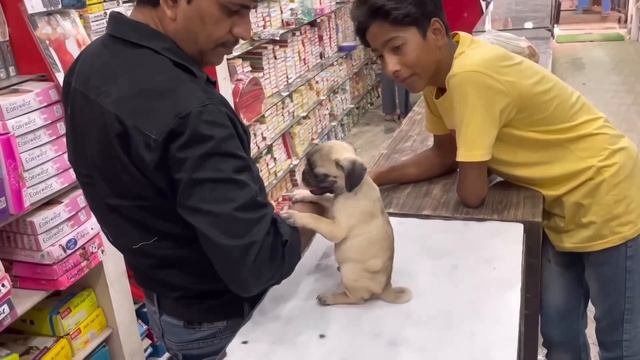 3fbc032492e751cd2ee7af1e934ffef2