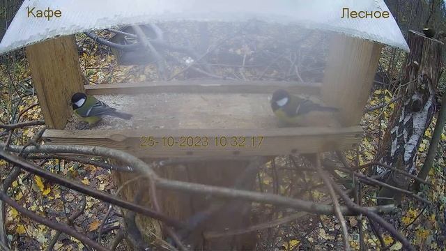 92b82a393c3f084cfa3a6702e205b10f