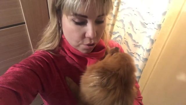 Прогулка, новости, зоопокупки