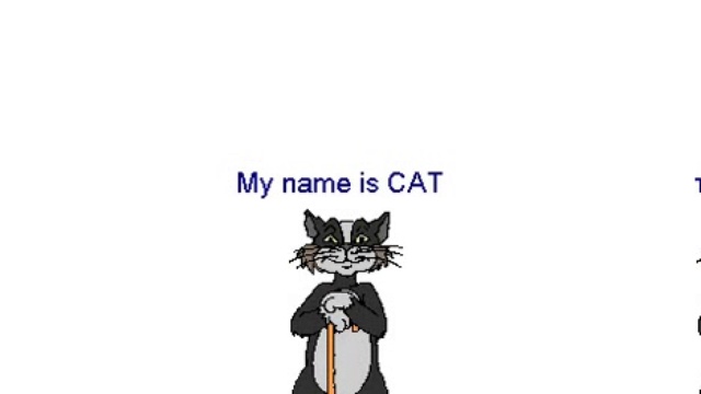 My Name Is Cat