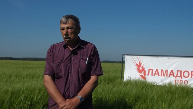 ЛАМАДОР ПРО - надежная основа для сохранения будущего урожая!