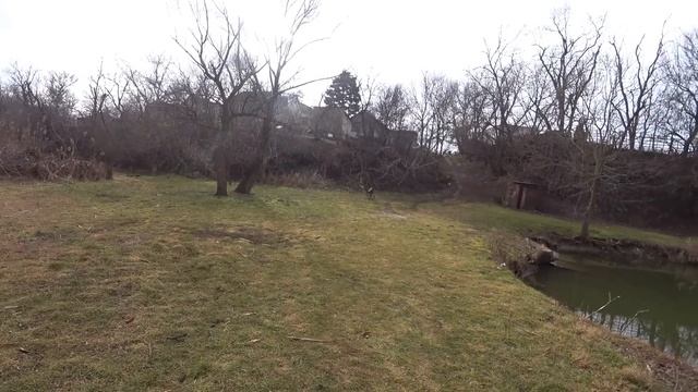 Пошли на поправку, гуляем с Тамерланом, готовим хачапури