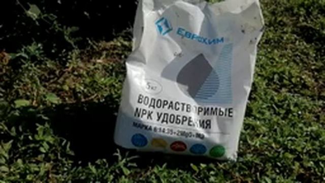 Готовим сани летом. Подготовка виноградника к зиме и сезону 2022.