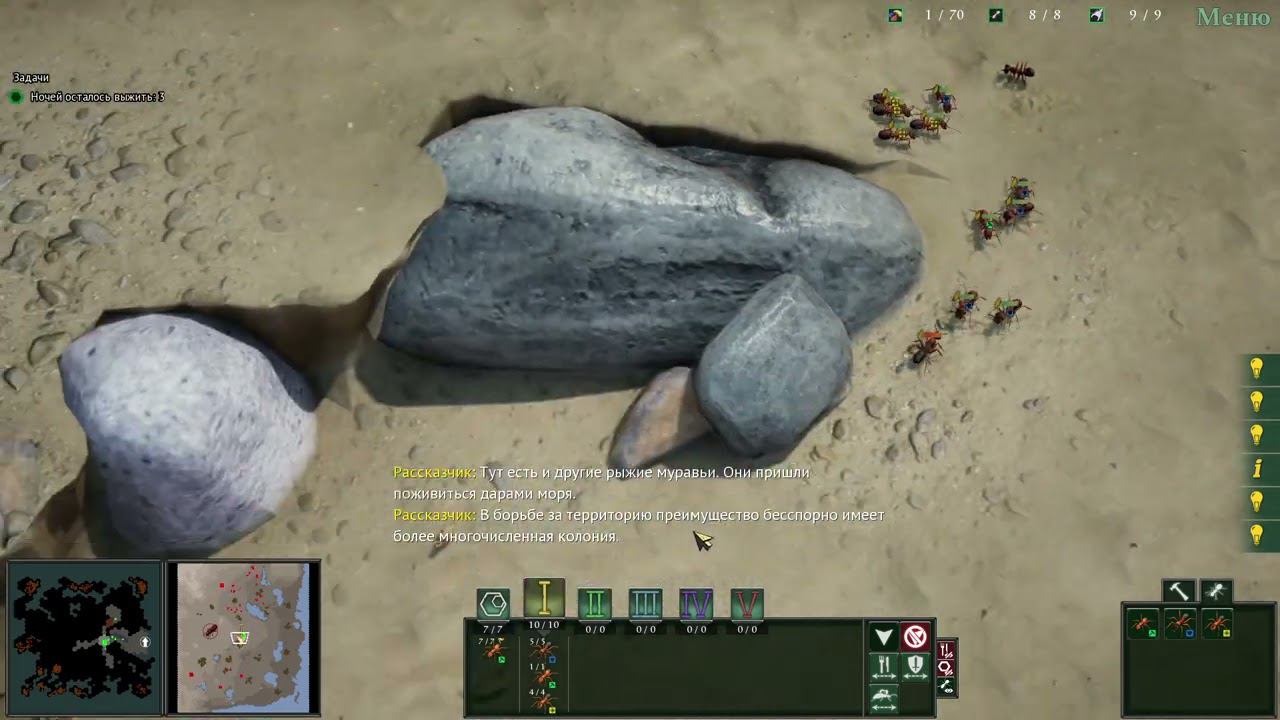 пляжные муравьи