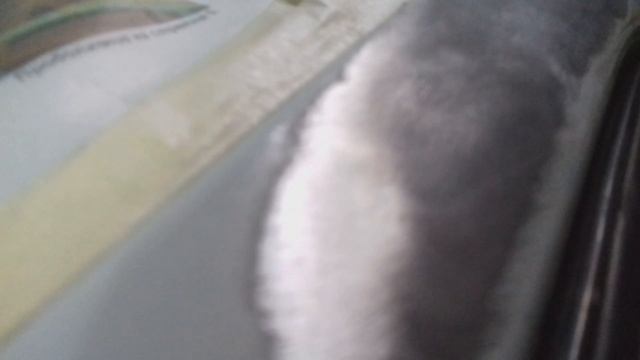 Мастерство и Личное Искусство