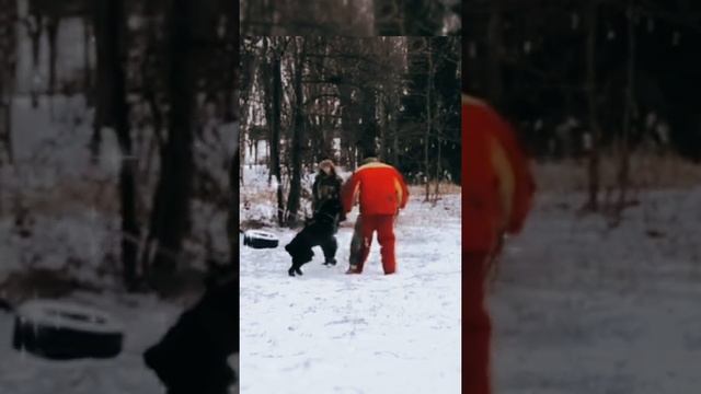 D9557418fdcb69b96bc32c866feb24ca