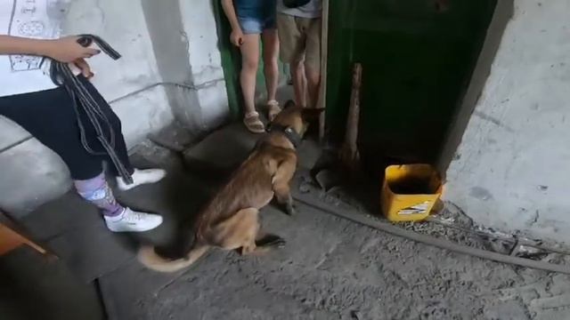 F56965aad045928530699a3b15edcbc0