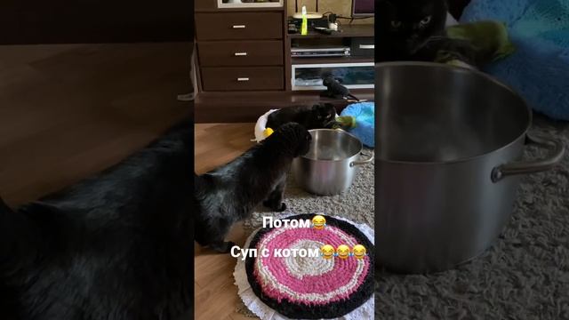 2de4f5b81b6881f1e54c95ed9698d79f