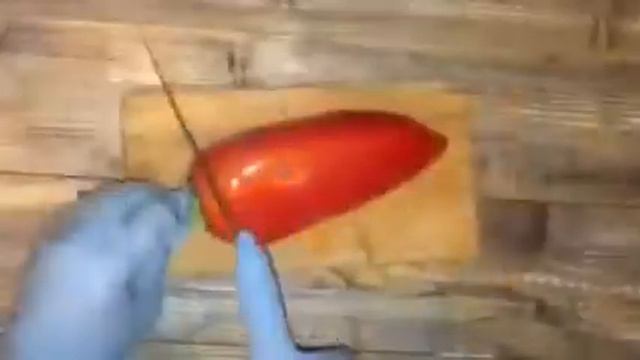 Чапче (часть 1)