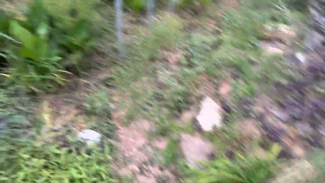 TCs OH-6 (RC ERA C129 V2)