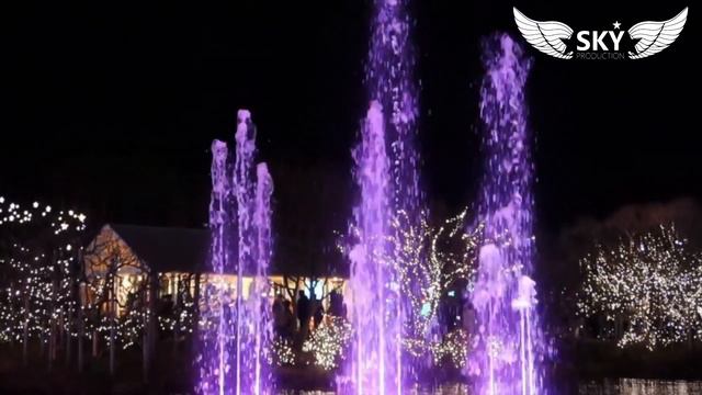 Асикага – парк зимних цветов (Ashikaga Flower Park)