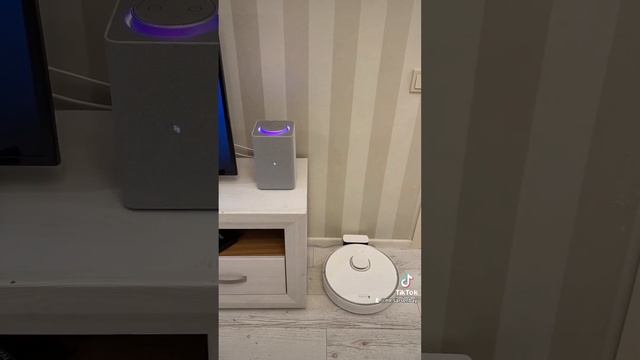 Алиса и пылесос в место дружная семья