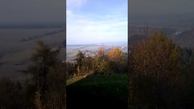 B8d6851426c063af5970a77fb2a0b818