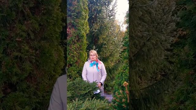 Озеленительный Отзыв Супер Джамп Super Jump Татьяна Костылева БАШКОРТОСТАН г. Уфа