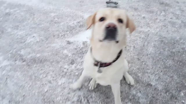 4b19f72c406adc87d06004e6462fb3e5