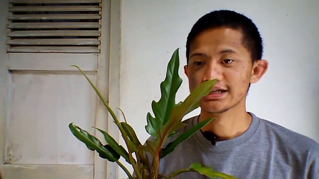 71918c5740dedb98f6d3351193d381f5