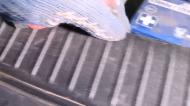 саша гемберг