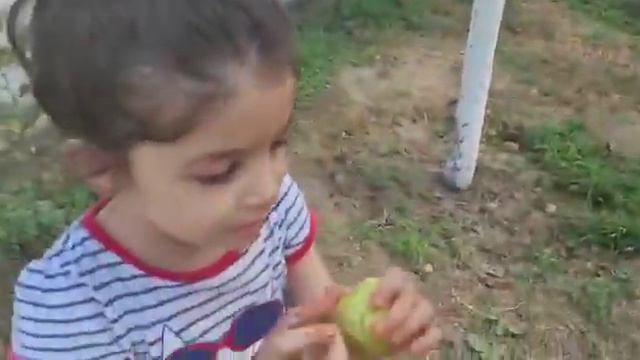 Влог. Мы на даче. Что мы делаем???!