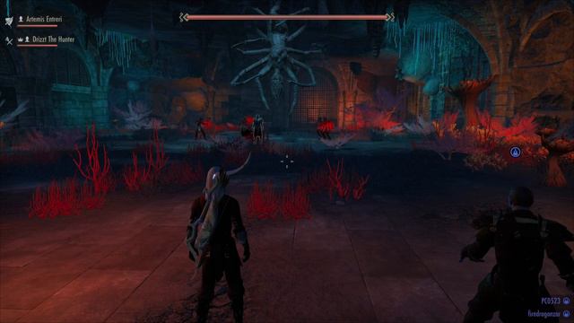 Drizzt & Artemis VS The Cradle Of Shadows