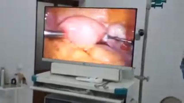 9c12a0e8b66a51d007d3d9daec6a856b