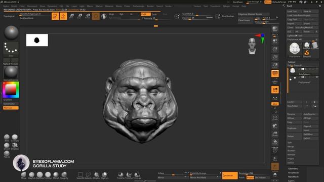 Eyes Of Lamia - Gorilla Sketch / Zbrush Sculpt