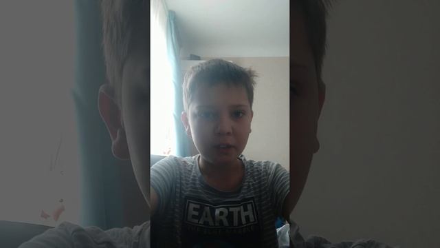 Почему у меня нет домашних животных?