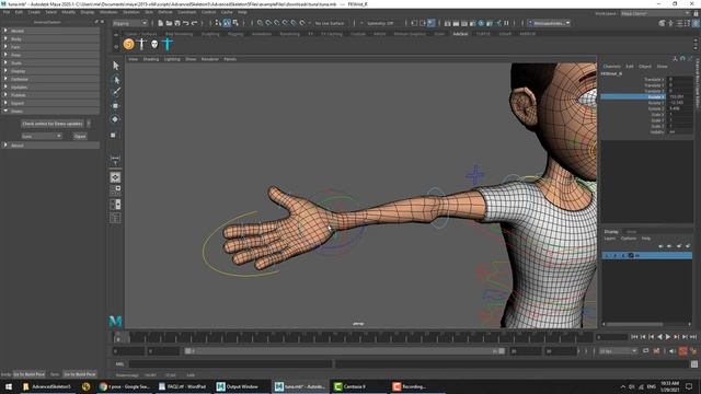 Demonstration53_ FAQ Part2.mp4