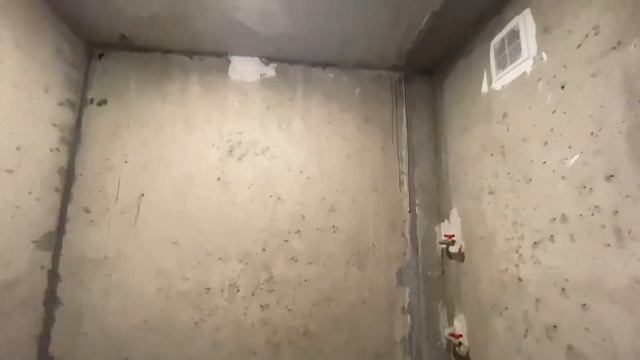 Акация на Лежена